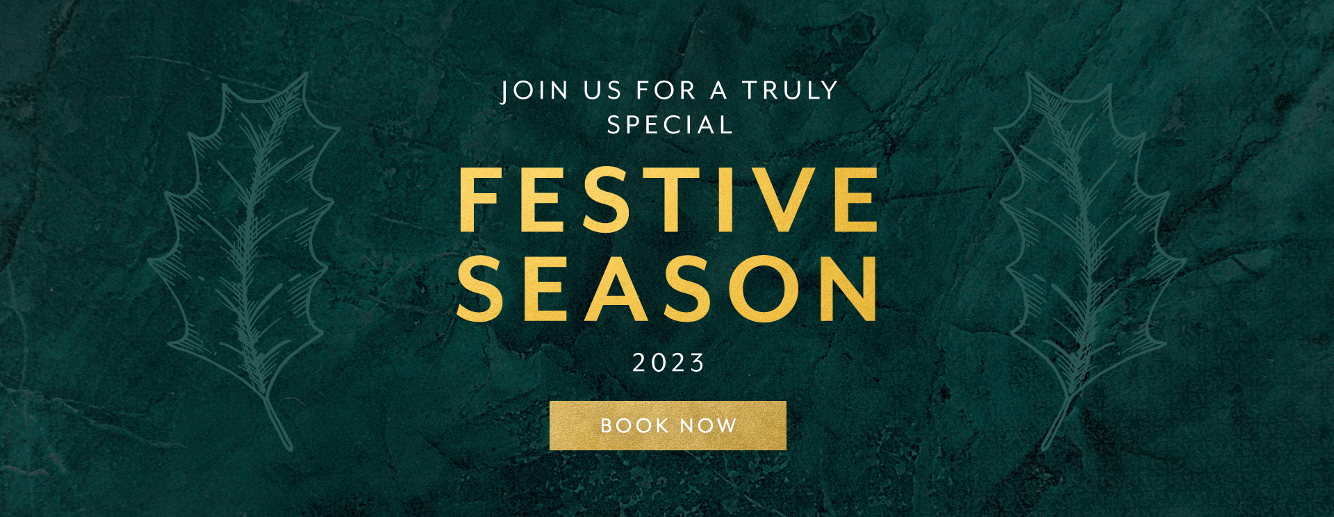 Christmas 2023 at Knowle